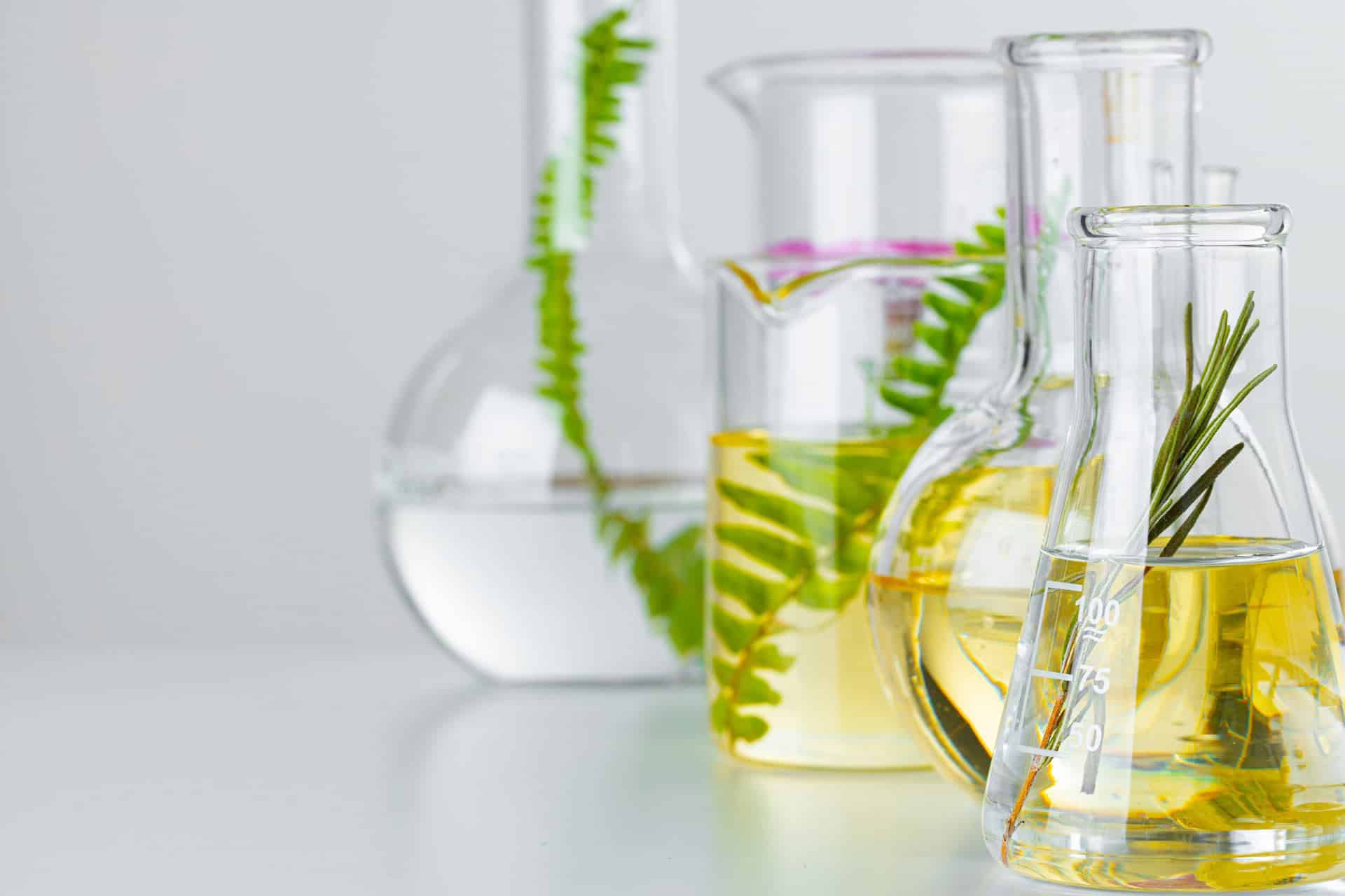 Laboratory glassware holding botanical extracts — ferns and rosemary suspended in golden oils
